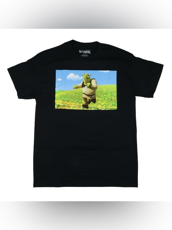 Dreamworks Tops - Dreamworks Shrek Men's Shrek Yourself Before You Wreck Yourself T-Shirt, Blk, S